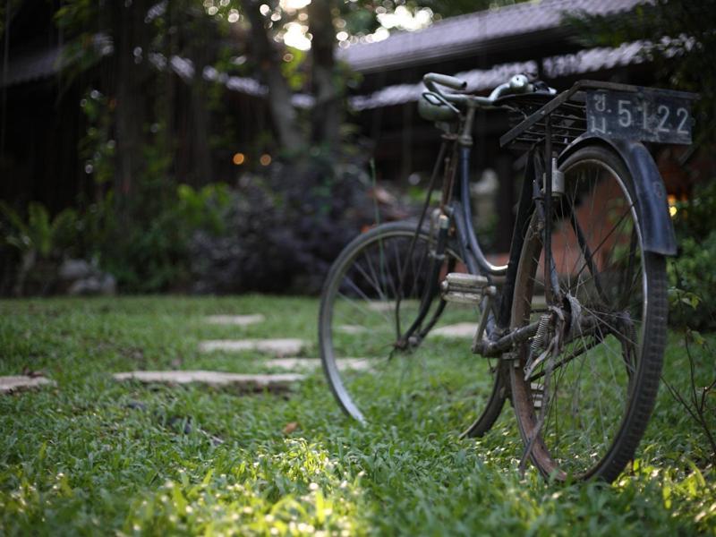 Viva Chiang Mai Nature Home Stay Exteriör bild